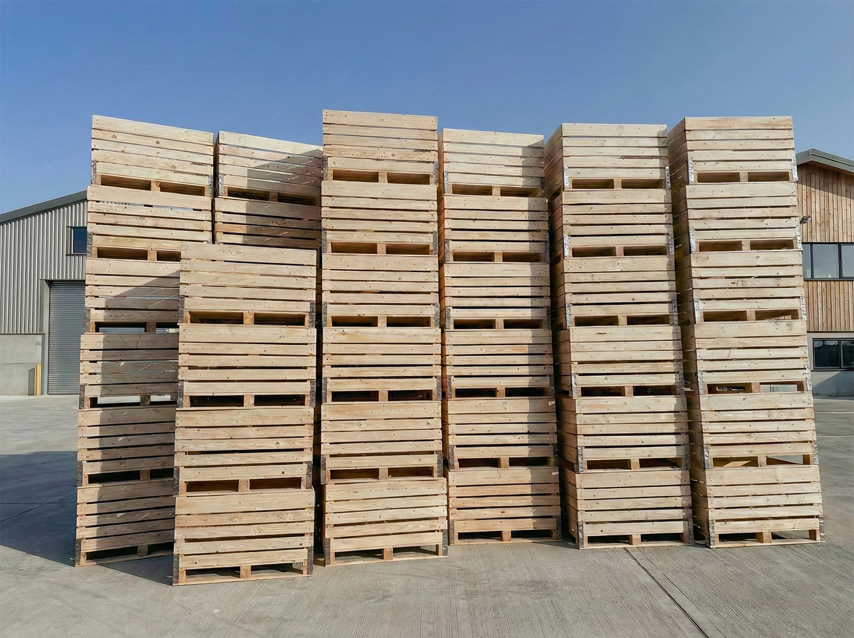 Agri boxes on conveyor